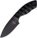 Ranger 3
